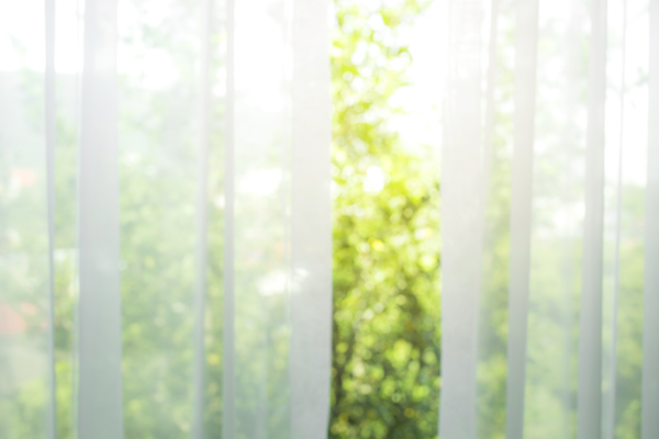 Sun streaming through window