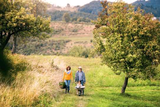 Family walking through fields together