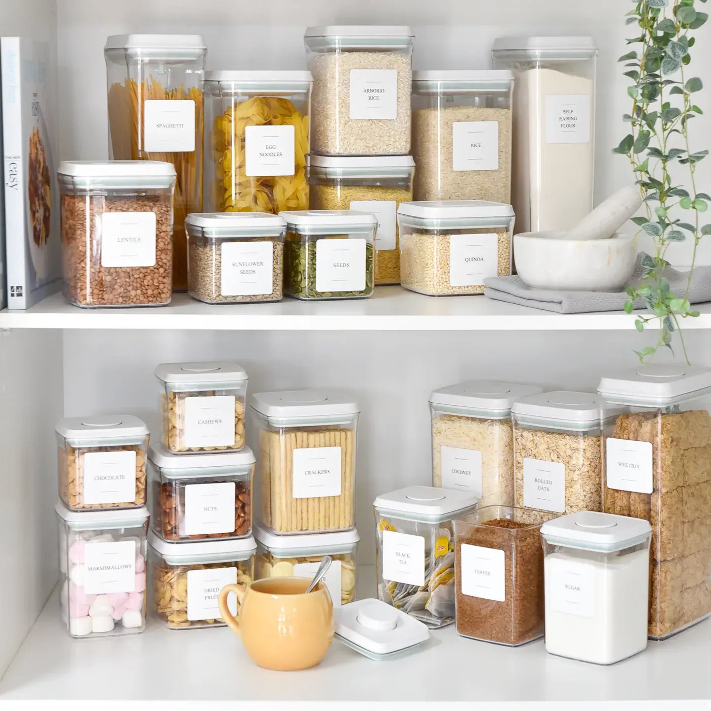 Pantry containers with labels