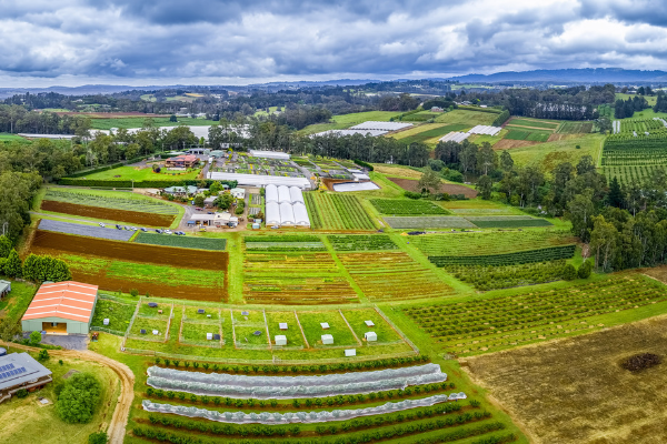 Arial view of farming land in Wandin East