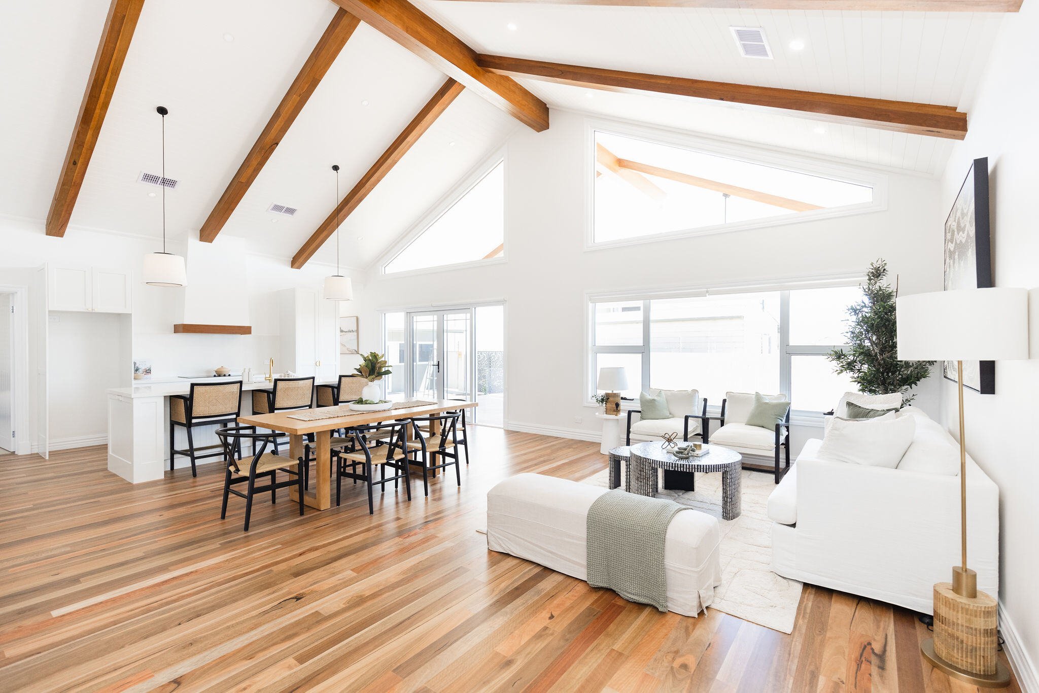 Large modern living room