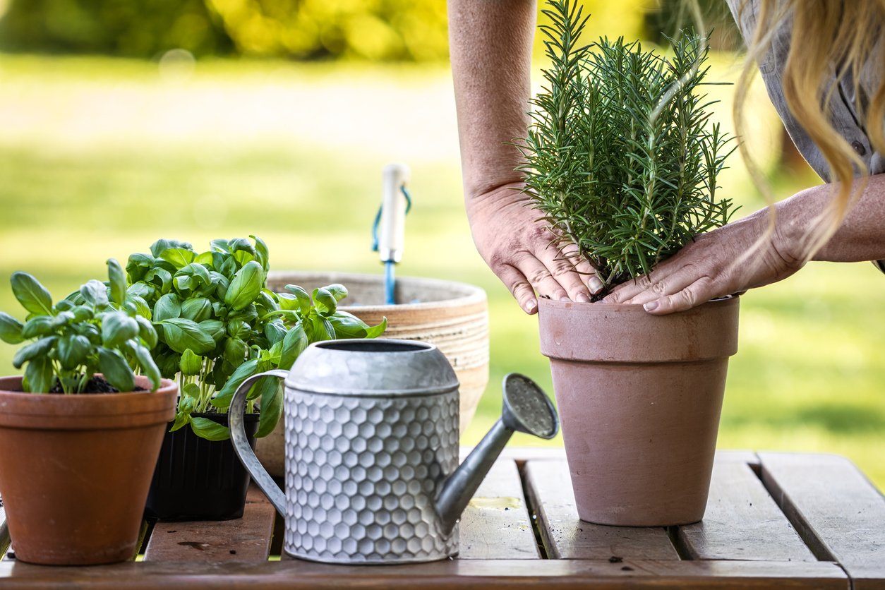 Gardening