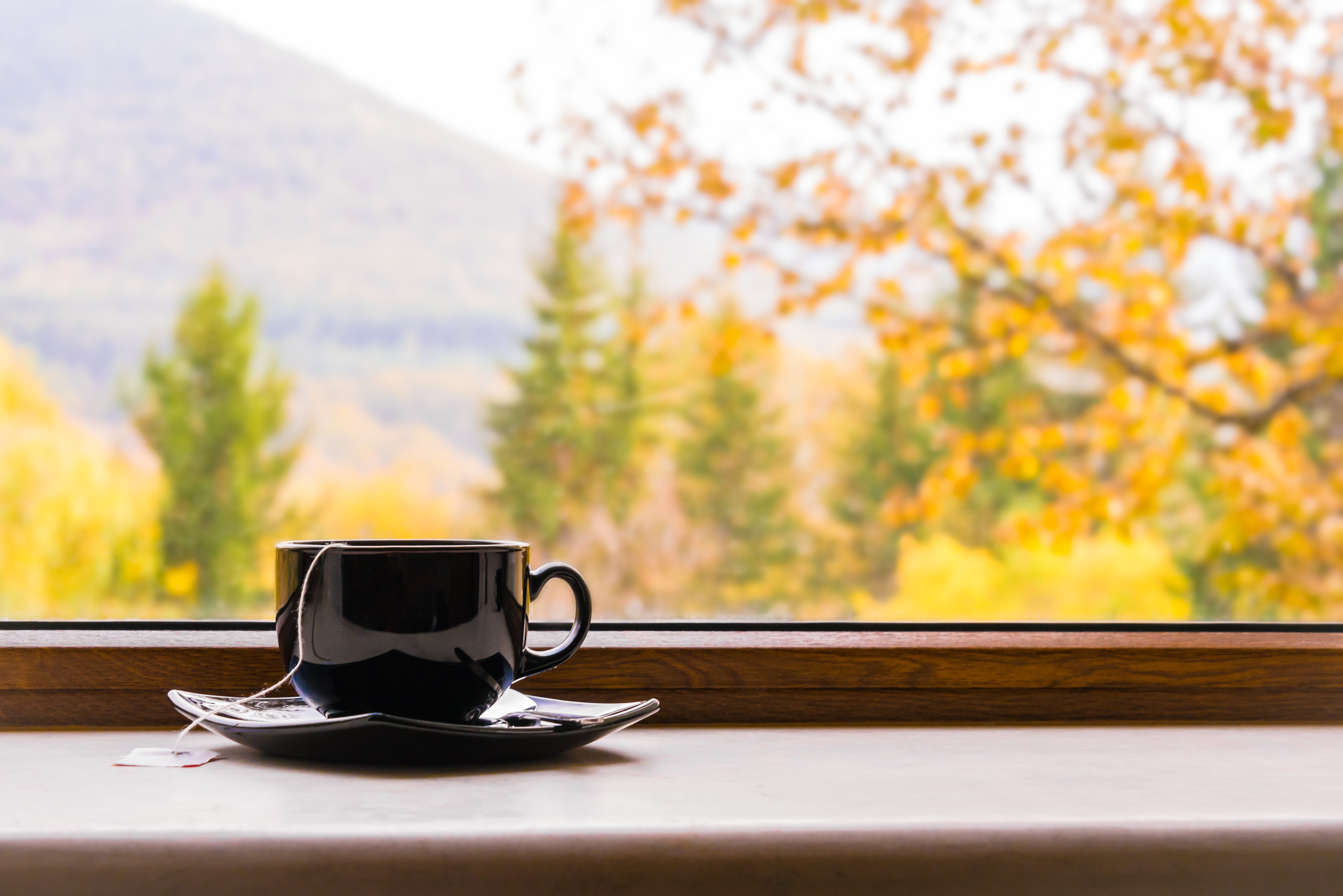 Drinking tea looking at the view