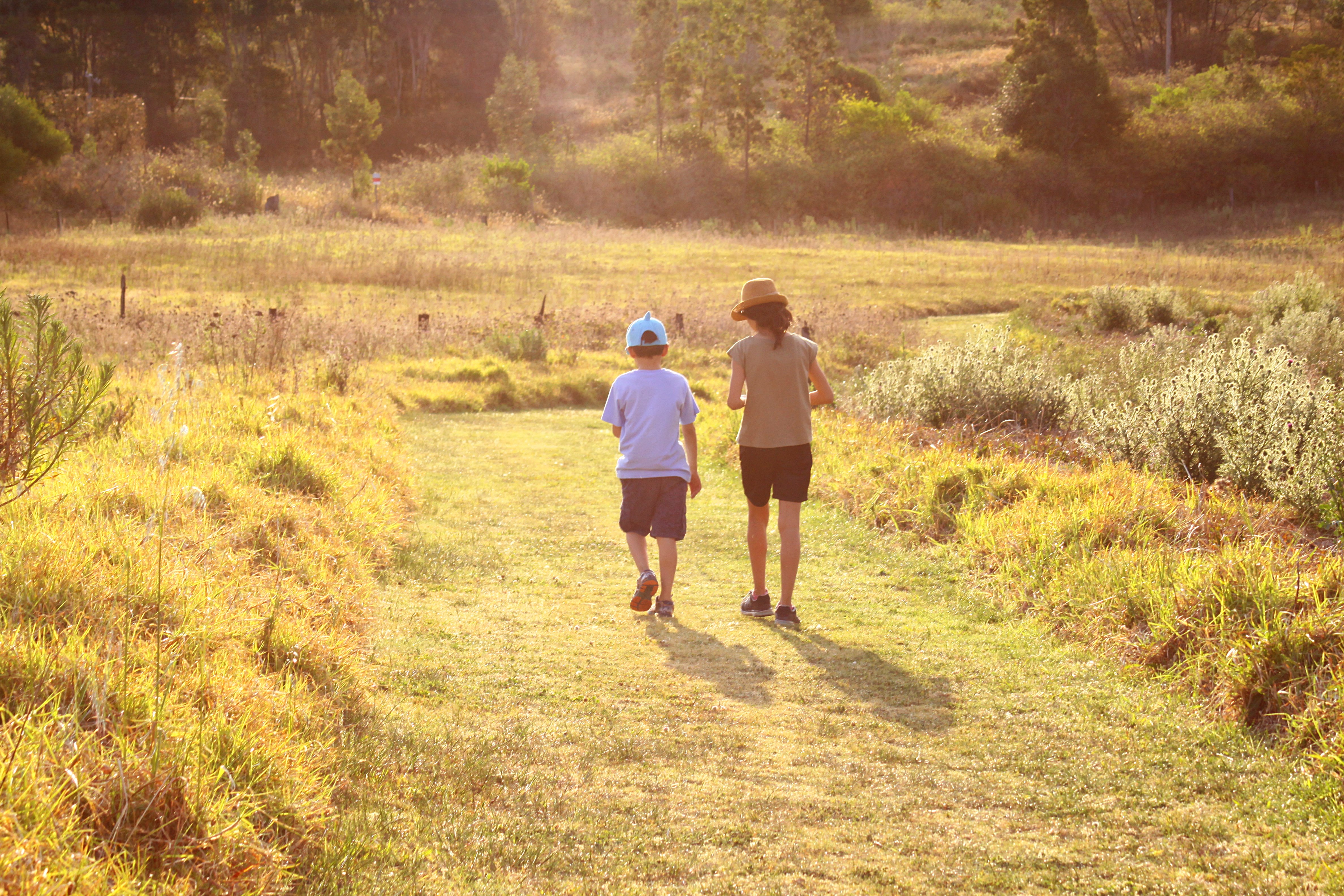 Children in countryside